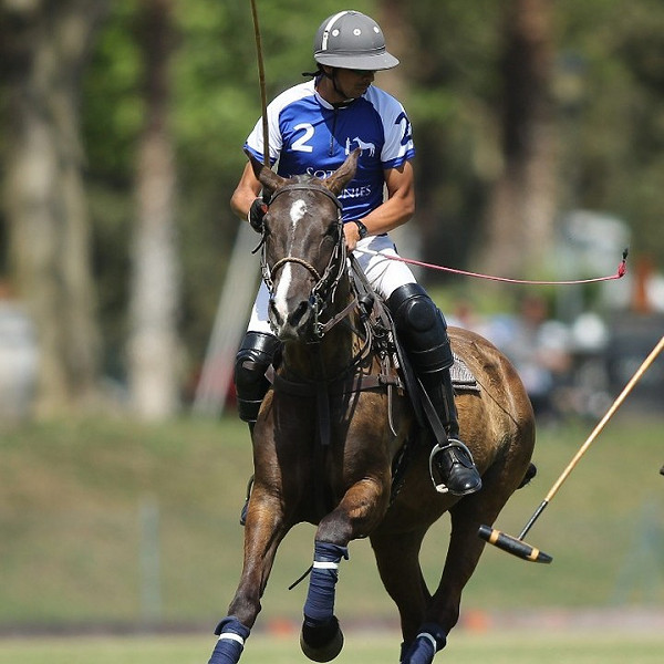 Soto Polo Ponies