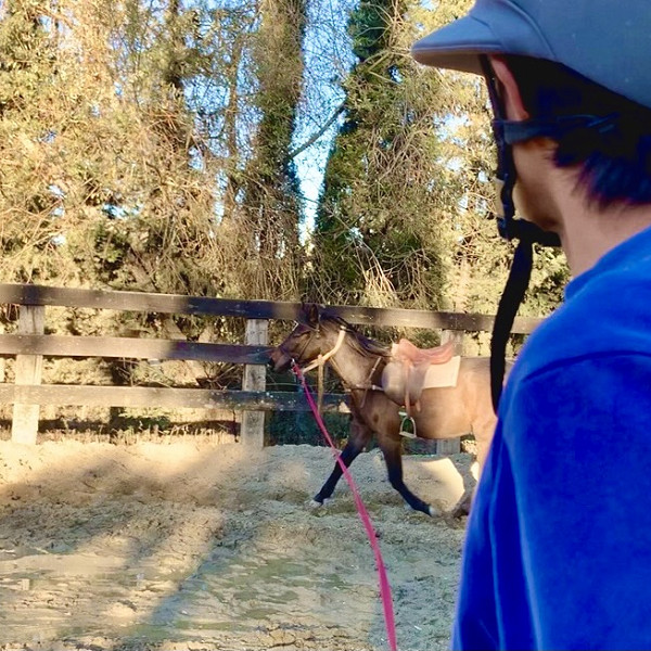 Soto Polo Ponies