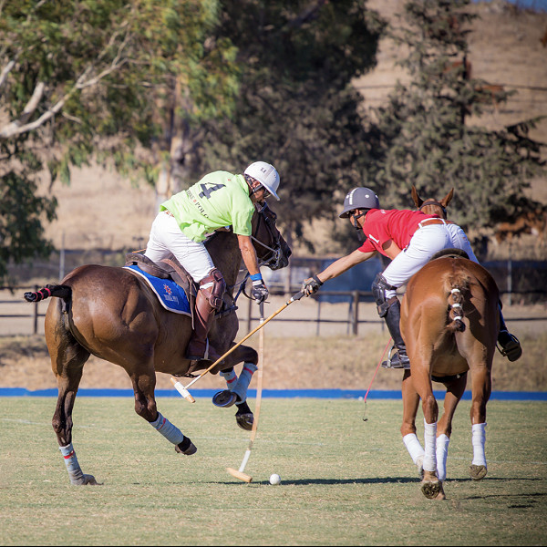 Soto Polo Ponies