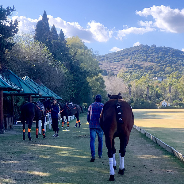Soto Polo Ponies