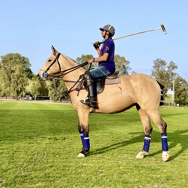 Soto Polo Ponies