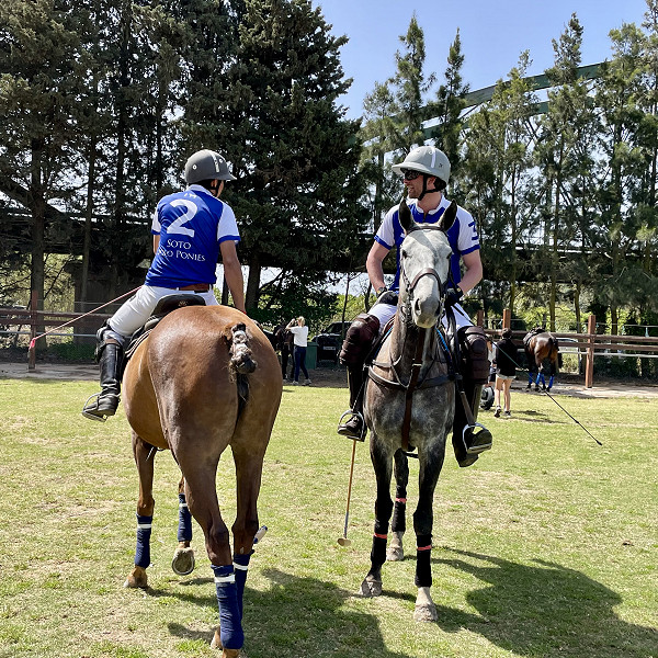 Soto Polo Ponies