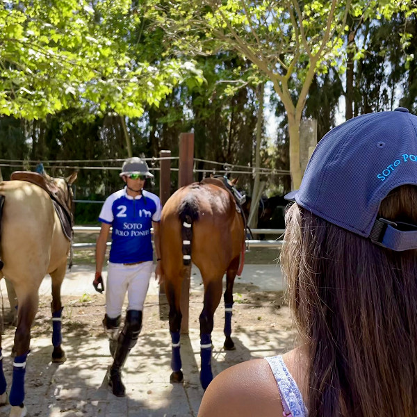 Soto Polo Ponies