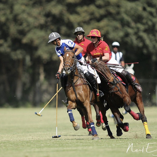 Soto Polo Ponies