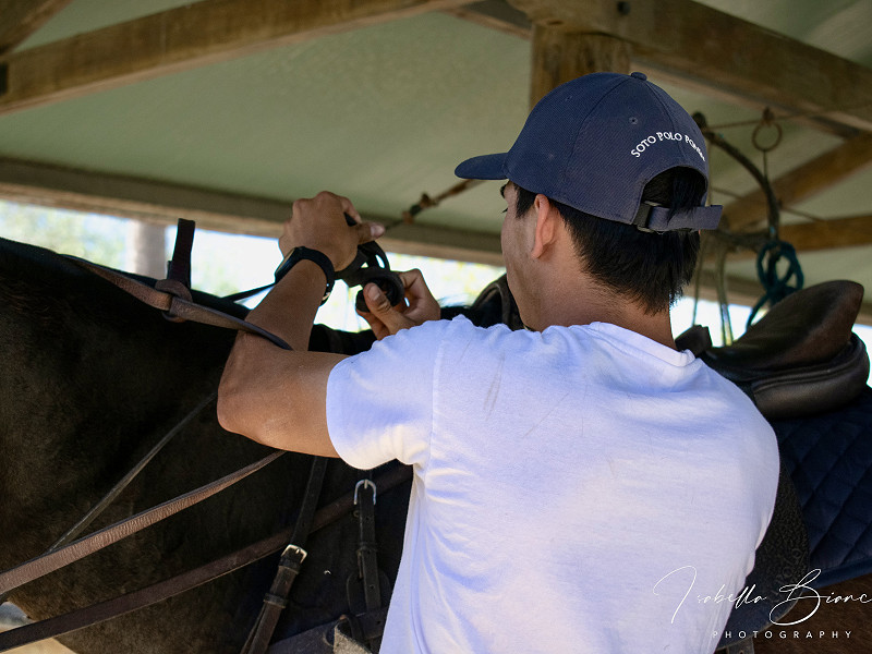 Soto Polo Ponies | About Us